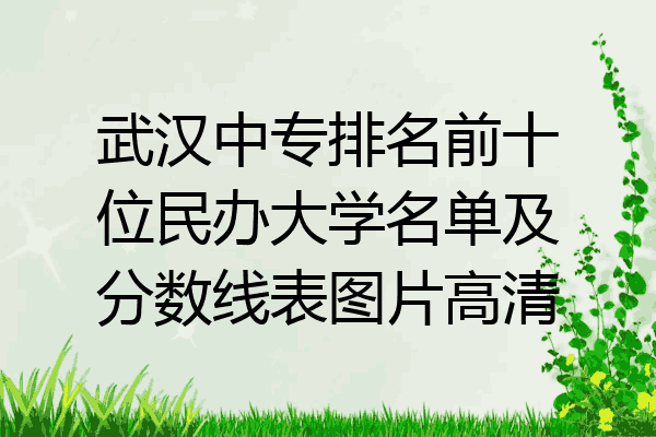 武汉中专排名前十位民办大学名单及分数线表图片高清