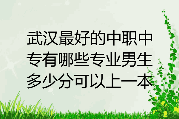武汉最好的中职中专有哪些专业男生多少分可以上一本