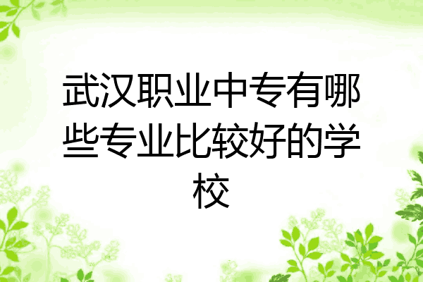 武汉职业中专有哪些专业比较好的学校