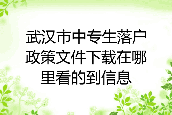 武汉市中专生落户政策文件下载在哪里看的到信息