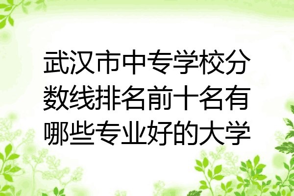 武汉市中专学校分数线排名前十名有哪些专业好的大学
