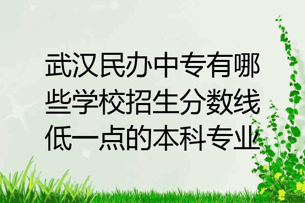 武汉民办中专有哪些学校招生分数线低一点的本科专业