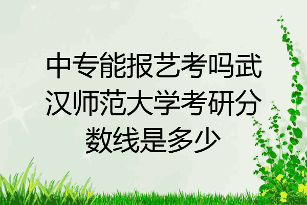 中专能报艺考吗武汉师范大学考研分数线是多少