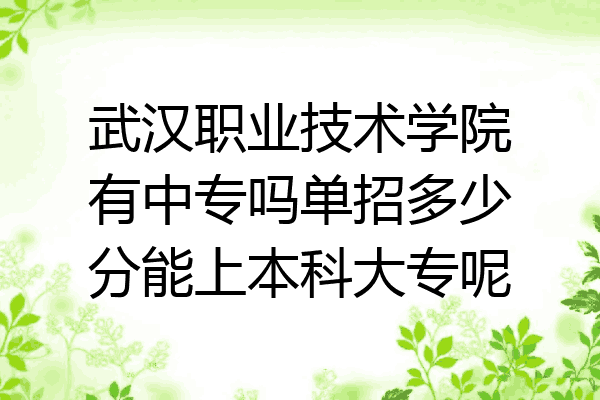 武汉职业技术学院有中专吗单招多少分能上本科大专呢