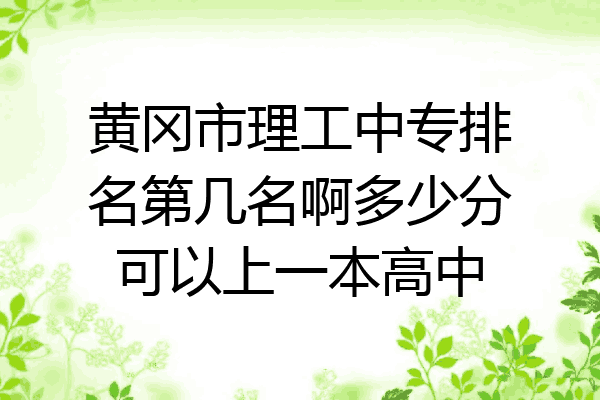 黄冈市理工中专排名第几名啊多少分可以上一本高中