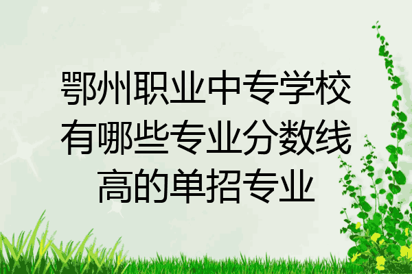 鄂州职业中专学校有哪些专业分数线高的单招专业