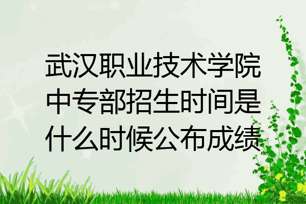 武汉职业技术学院中专部招生时间是什么时候公布成绩