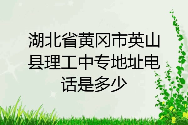 湖北省黄冈市英山县理工中专地址电话是多少