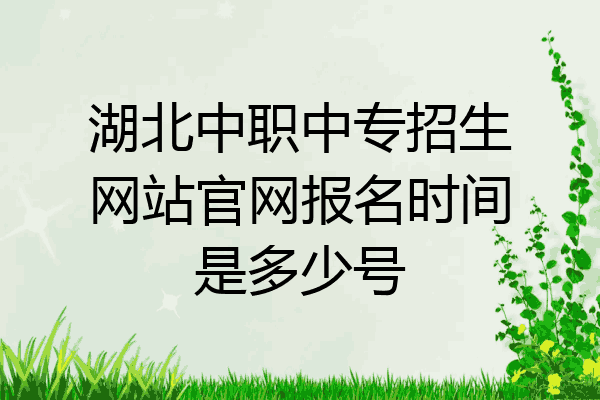 湖北中职中专招生网站官网报名时间是多少号
