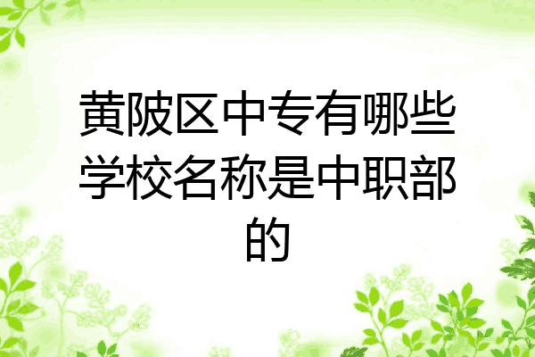 黄陂区中专有哪些学校名称是中职部的