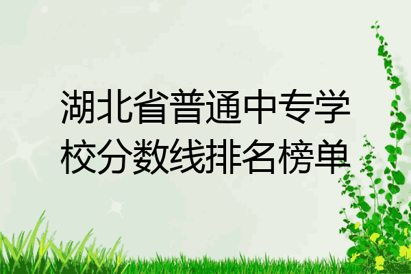 湖北省普通中专学校分数线排名榜单