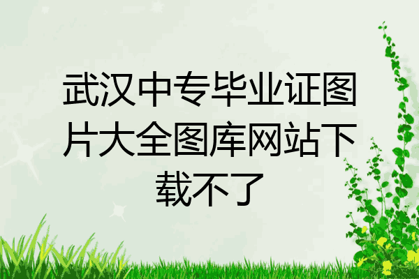 武汉中专毕业证图片大全图库网站下载不了