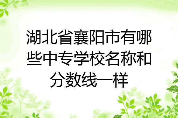 湖北省襄阳市有哪些中专学校名称和分数线一样