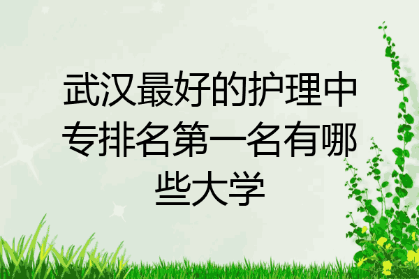 武汉最好的护理中专排名第一名有哪些大学