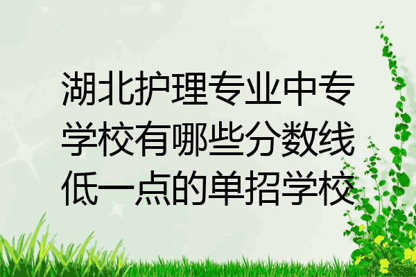 湖北护理专业中专学校有哪些分数线低一点的单招学校