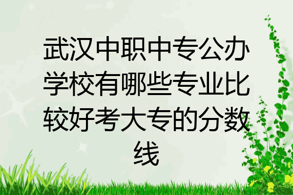 武汉中职中专公办学校有哪些专业比较好考大专的分数线