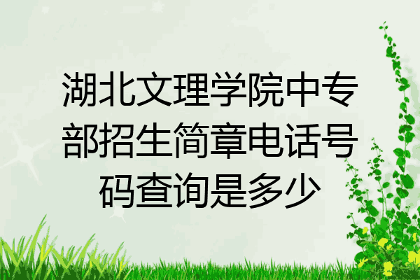 湖北文理学院中专部招生简章电话号码查询是多少