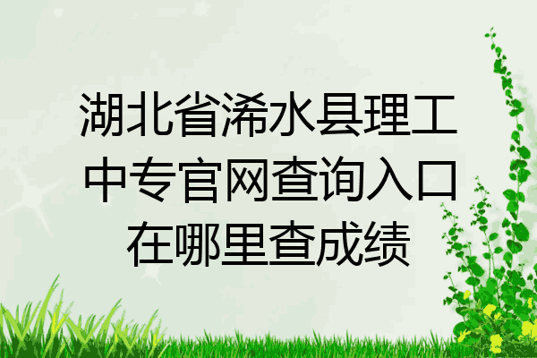 湖北省浠水县理工中专官网查询入口在哪里查成绩