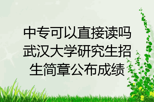 中专可以直接读吗武汉大学研究生招生简章公布成绩