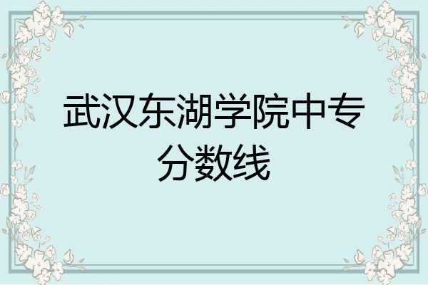武汉东湖学院中专分数线