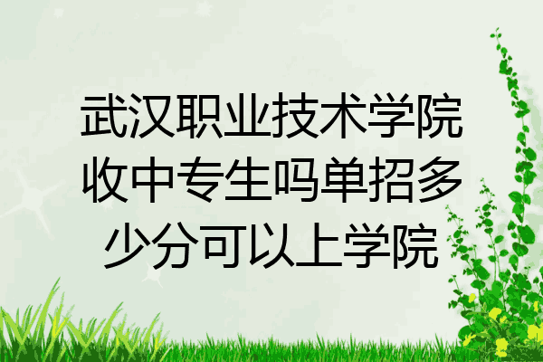 武汉职业技术学院收中专生吗单招多少分可以上学院