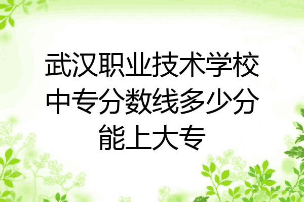 武汉职业技术学校中专分数线多少分能上大专