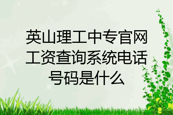 英山理工中专官网工资查询系统电话号码是什么