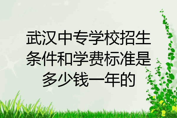武汉中专学校招生条件和学费标准是多少钱一年的
