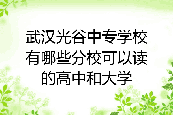 武汉光谷中专学校有哪些分校可以读的高中和大学