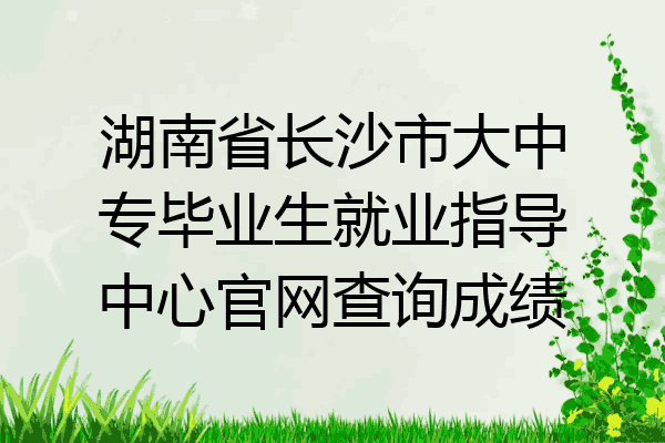 湖南省长沙市大中专毕业生就业指导中心官网查询成绩