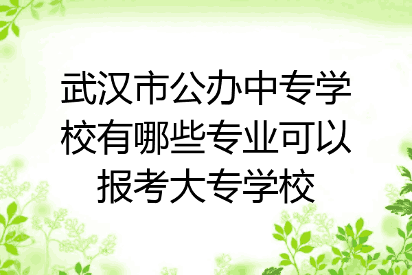 武汉市公办中专学校有哪些专业可以报考大专学校