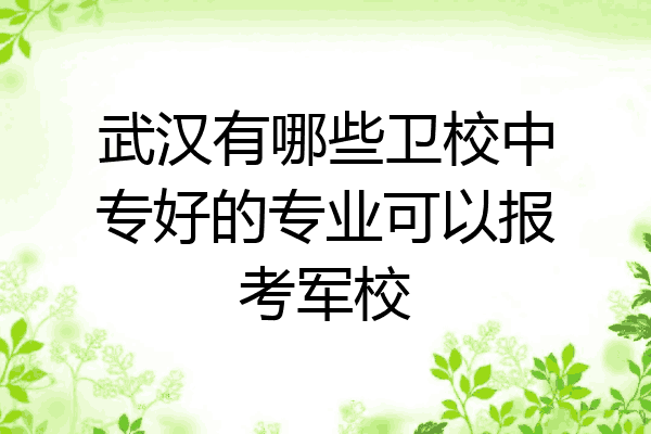 武汉有哪些卫校中专好的专业可以报考军校
