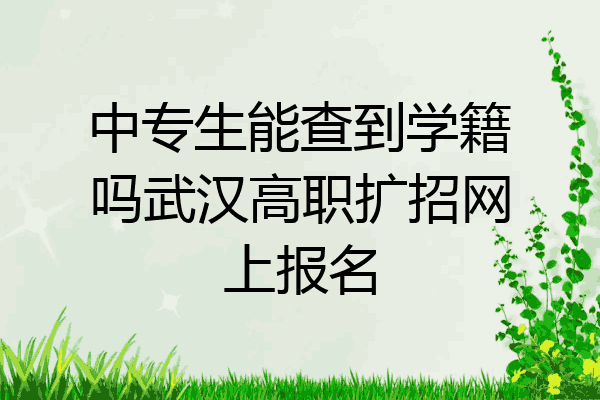 中专生能查到学籍吗武汉高职扩招网上报名