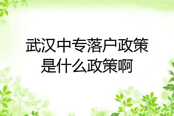武汉中专落户政策是什么政策啊