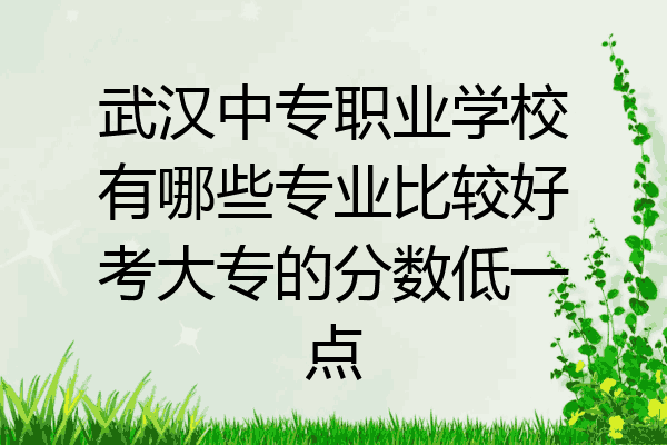 武汉中专职业学校有哪些专业比较好考大专的分数低一点