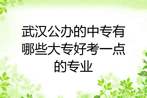武汉公办的中专有哪些大专好考一点的专业