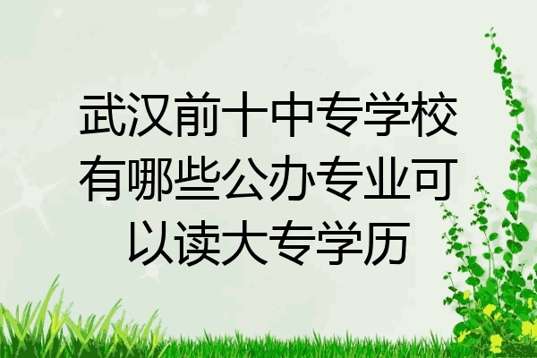 武汉前十中专学校有哪些公办专业可以读大专学历