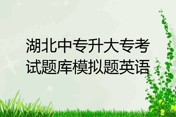湖北中专升大专考试题库模拟题英语