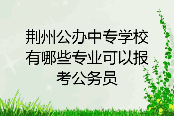 荆州公办中专学校有哪些专业可以报考公务员