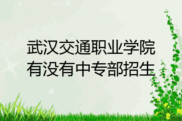武汉交通职业学院有没有中专部招生