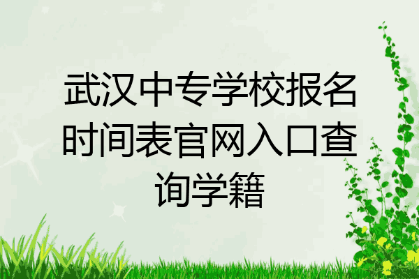 武汉中专学校报名时间表官网入口查询学籍