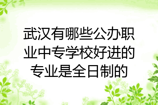 武汉有哪些公办职业中专学校好进的专业是全日制的