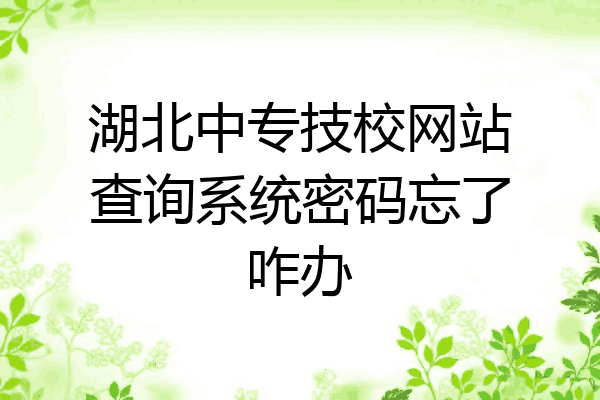 湖北中专技校网站查询系统密码忘了咋办