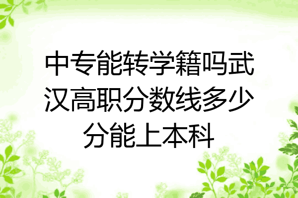 中专能转学籍吗武汉高职分数线多少分能上本科