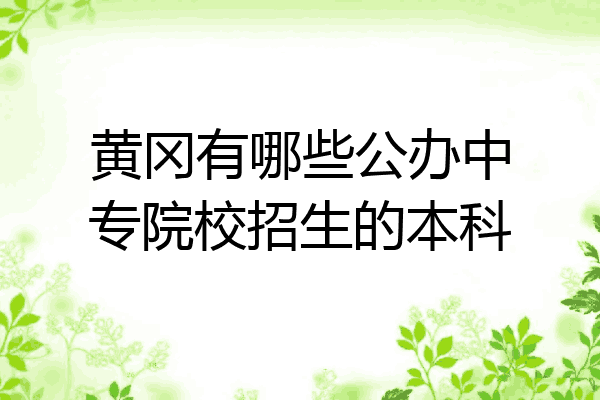 黄冈有哪些公办中专院校招生的本科