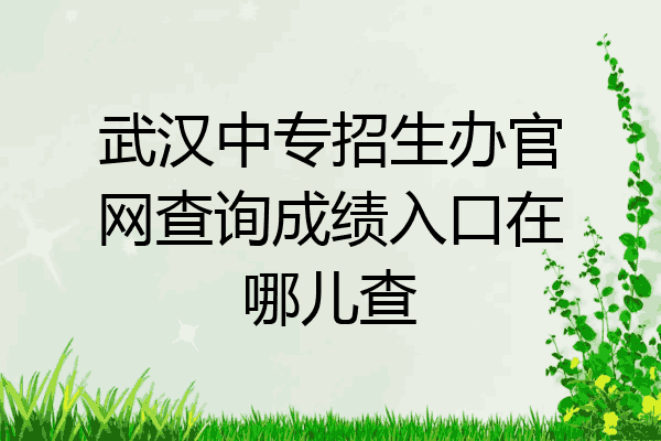 武汉中专招生办官网查询成绩入口在哪儿查