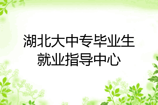 湖北大中专毕业生就业指导中心