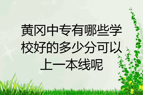 黄冈中专有哪些学校好的多少分可以上一本线呢