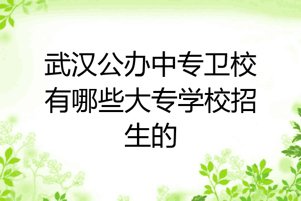 武汉公办中专卫校有哪些大专学校招生的