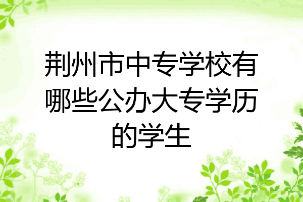 荆州市中专学校有哪些公办大专学历的学生